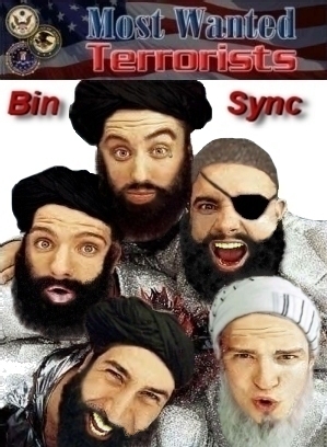 binsync.jpg